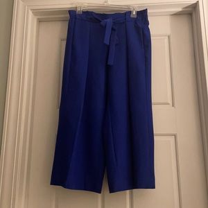 KAARI Blue Cropped Dress Pant